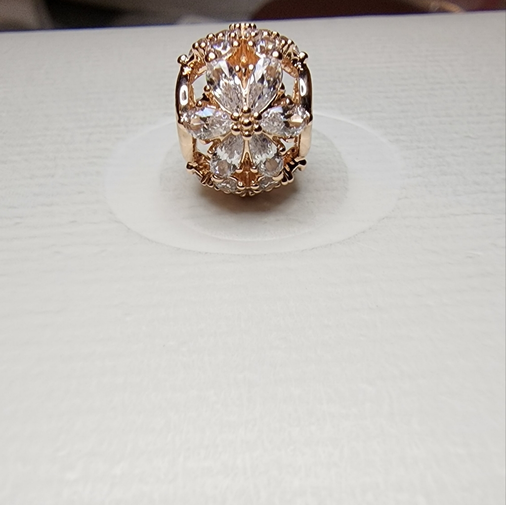 Pandora Sparkling Herbarium Cluster Round Charm - Picture 5 of 15